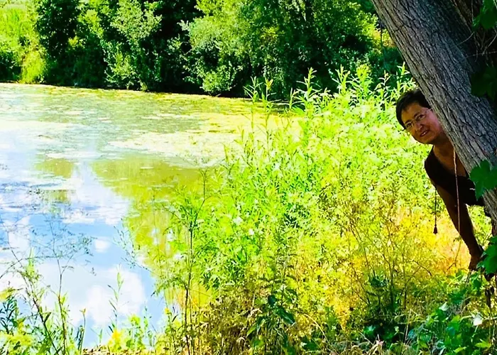 Ferienhaus Tinyhaus Im Altmühltal Beilngries